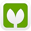 Vectorpea logo
